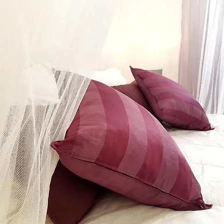 Elegance Mary Orebić