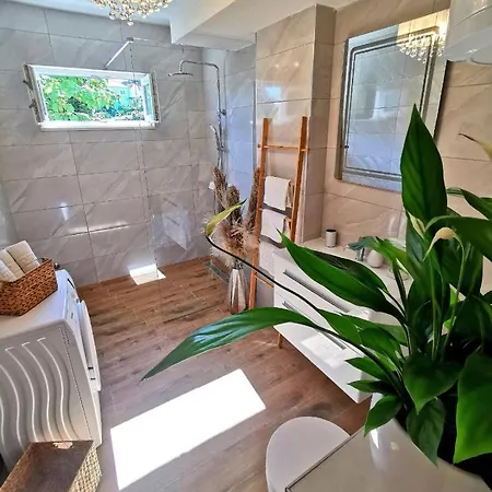 Elegance Suite Mary Orebic