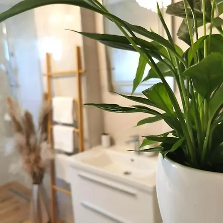 Elegance Mary オレビック