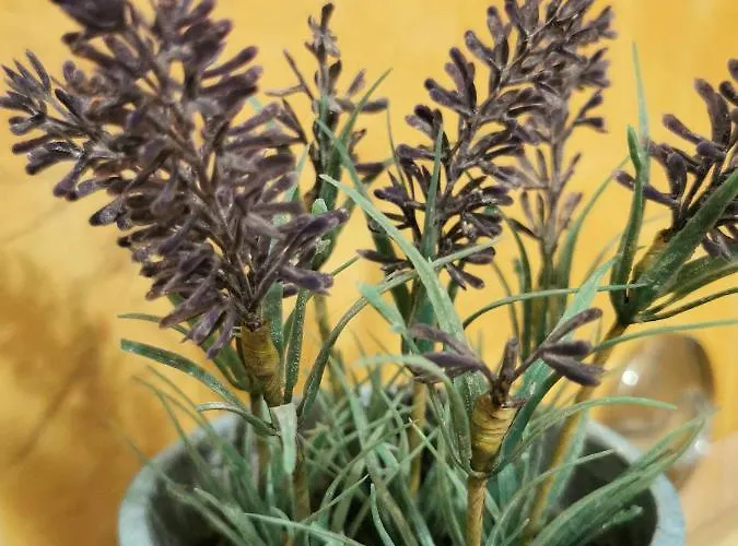 아파트 Elegance Mary *