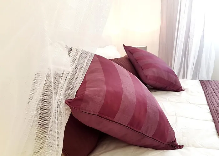 Elegance Mary 오레비츠